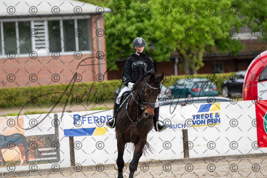 KPT_7832 | andre_photographic