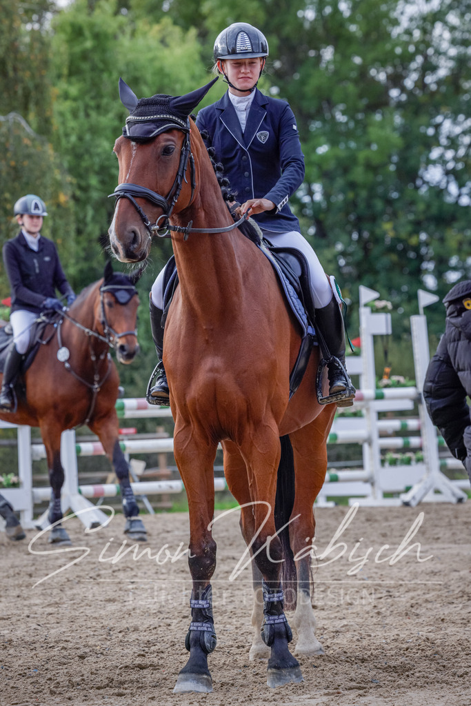 20251012-_3LI5373 | Tierfotografie Pferde, Hunde, Katzen, Haustiere.
Turnierfotografie Reitturniere, Reiten, Springreiten, Dressur in Hanau, dem Main-Kinzig-Kreis und dem Rhein-Main- Gebiet um Frankfurt