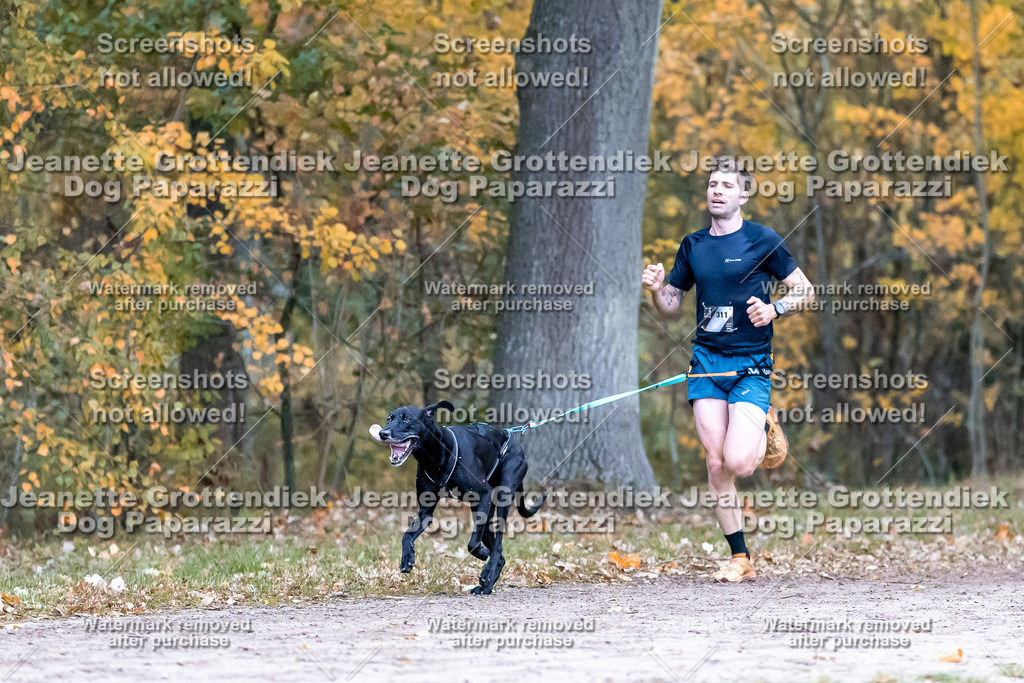 Dog Paparazzi - SD CaniX Championship 2025-89 | Dog Paparazzi Jeanette Grottendiek Fotografie & Videografie - Realisiert mit Pictrs.com