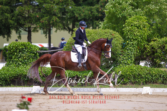 DKP40746 | Turniersportfotografie; Pferdefotografie; Dressurfotografie