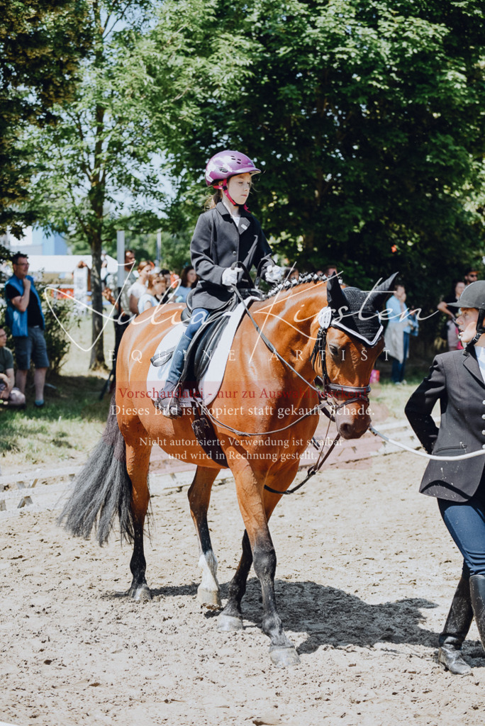 DSC_2169 | Pferde- und Turnierfotografie in Westsachsen. Pferdeportraits, Auftragszeichnungen und intuitive Kunst.