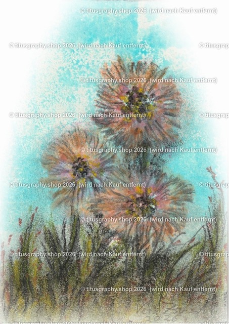 Asterngruß Variation 20 | Zeichnung von Vera Zschecked exclusiv auf titusgraphy.eu - Realisiert mit Pictrs.com