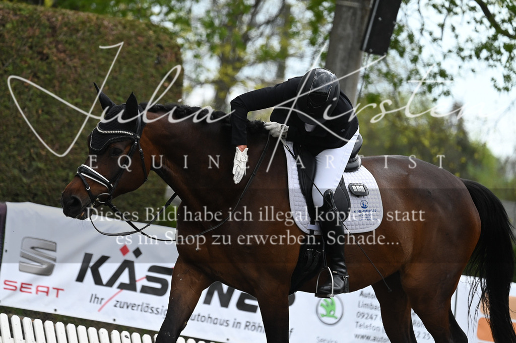 20230512_JK-Röhrsdorf-08-051 | Pferde- und Turnierfotografie in Westsachsen. Pferdeportraits, Auftragszeichnungen und intuitive Kunst.