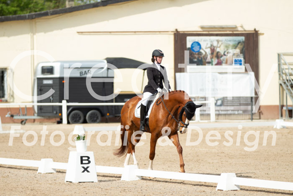 IMG_1366 | Creatify Fotografie