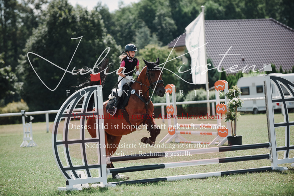 DSC_5632 | Pferde- und Turnierfotografie in Westsachsen. Pferdeportraits, Auftragszeichnungen und intuitive Kunst.