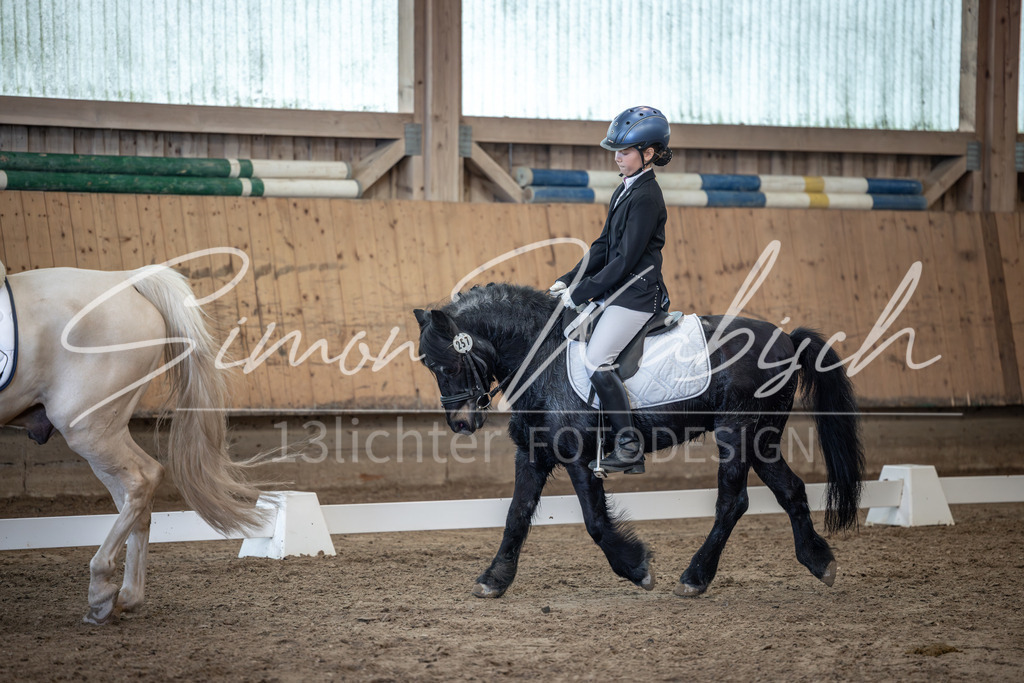 20251011-_3LI8423 | Tierfotografie Pferde, Hunde, Katzen, Haustiere.
Turnierfotografie Reitturniere, Reiten, Springreiten, Dressur in Hanau, dem Main-Kinzig-Kreis und dem Rhein-Main- Gebiet um Frankfurt