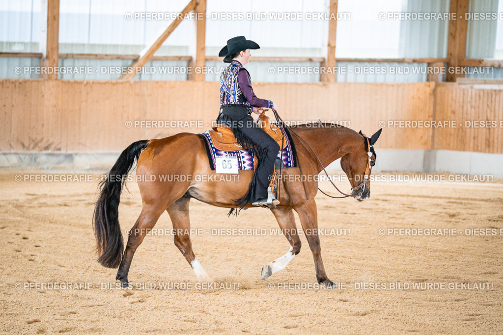 DSC01526 | Pferdegrafie