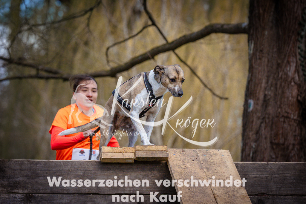 1033_ZZ97642 | kk-dogfotos