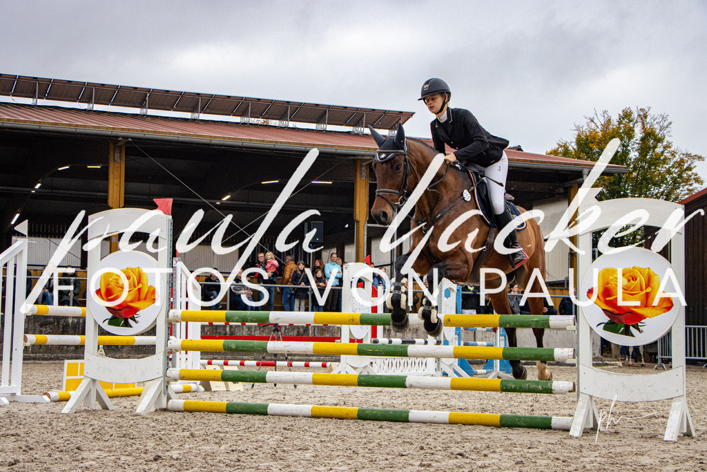 IMG_4046 | Erleben Sie dynamische Sport- und emotionale Tierfotografie in Süddeutschland mit Fotos von Paula. Spezialisiert auf Pferde- und Hundefotografie sowie Sportevents. Kontaktieren Sie mich für einzigartige und ausdrucksstarke Bilder Ihrer besonderen Momente. - Realisiert mit Pictrs.com