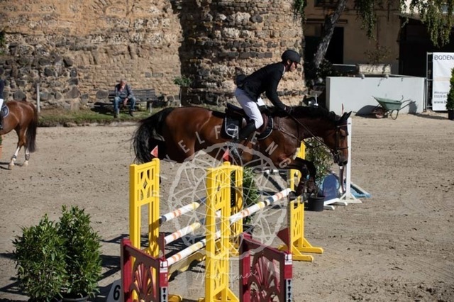 2B4A0414 | pixelfaenger - Realisiert mit Pictrs.com