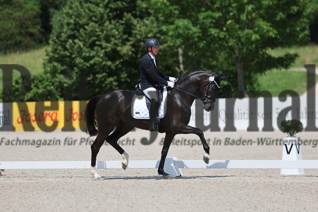 Weilheim_2024_Prfg.Nr.16_3-jähr.Stuten und Wallache_Thomas Königer_Secret_s Black Pearl (6) | Alle Fotos der Reiterjournal Fotografin Doris Matthaes im Reiterjournal Online-Fotoshop. - Realizado com Pictrs.com