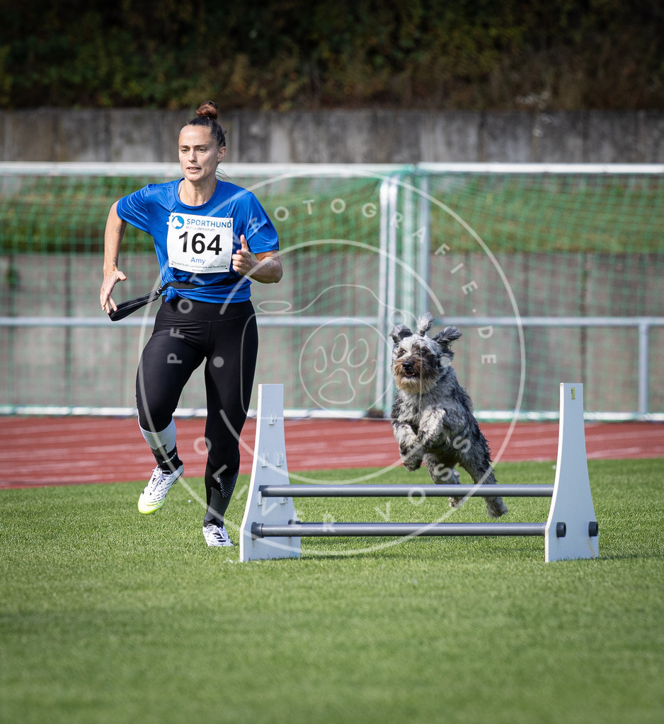 Pfotenfotografie_DV3A9720 | Hundefotografie, Tierfotograf, Pfotenfotografie, Fotoshooting Hund, Hunde Portrait, Hundesport, Hundeportraits, Heideshooting, Hunde, Sportfotograf, Hundefotograf, Turnierhundsport, THS,  - Realisiert mit Pictrs.com