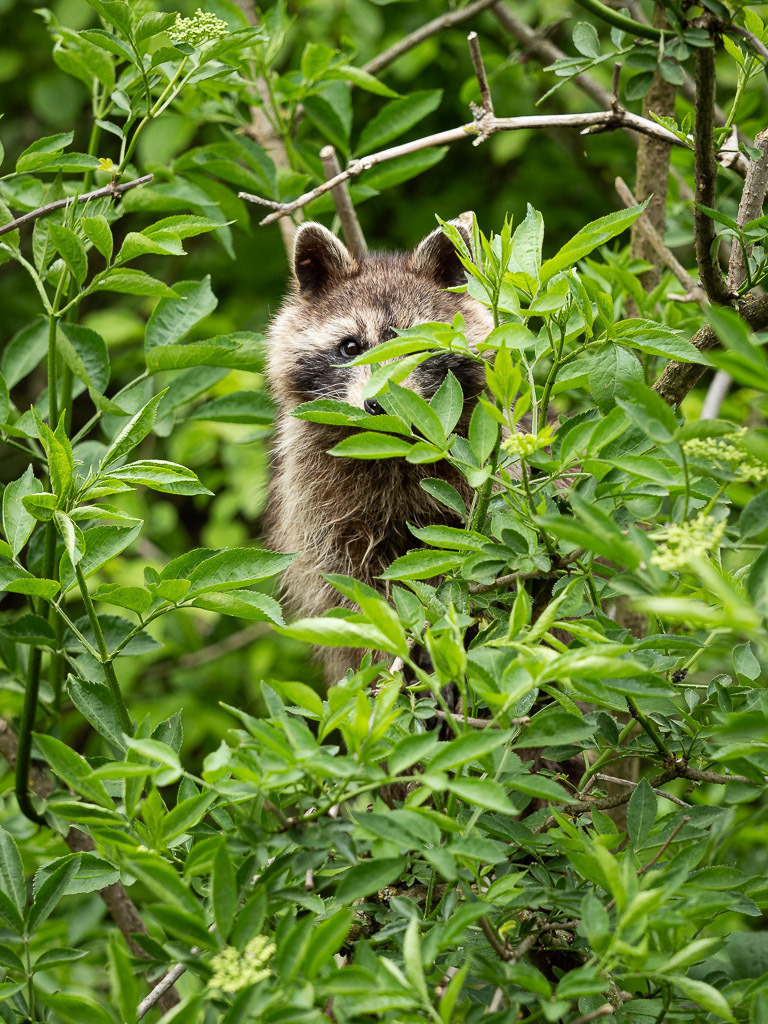 P4308356 | Carismarkus, Fotografie, Lost Places, Urbex, Stilvoll, Akt, Nude, Fine Arts, Adventure, Beauty in decay - Realisiert mit Pictrs.com