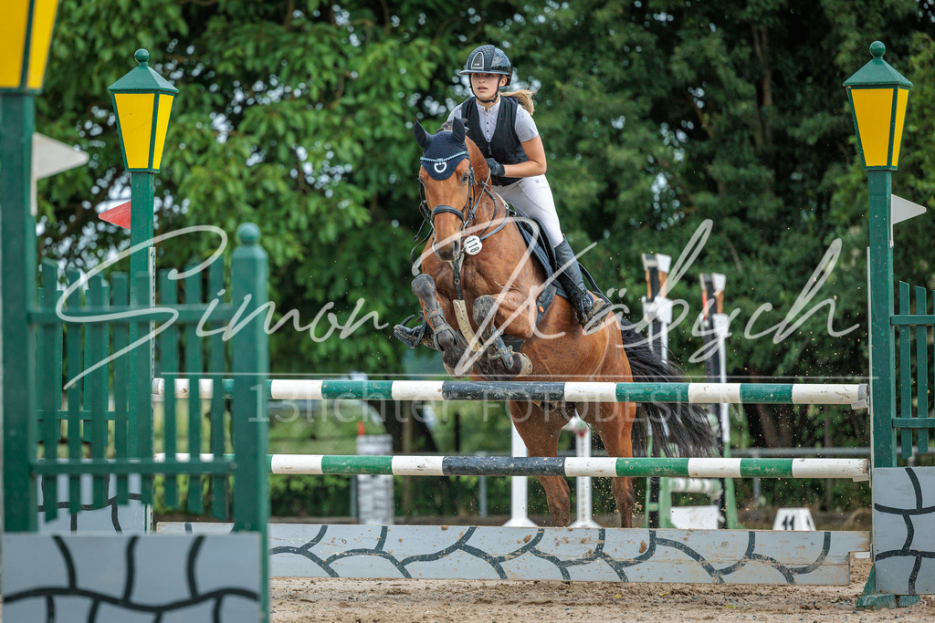 20260530-_3LI2668 | Tierfotografie Pferde, Hunde, Katzen, Haustiere.
Turnierfotografie Reitturniere, Reiten, Springreiten, Dressur in Hanau, dem Main-Kinzig-Kreis und dem Rhein-Main- Gebiet um Frankfurt