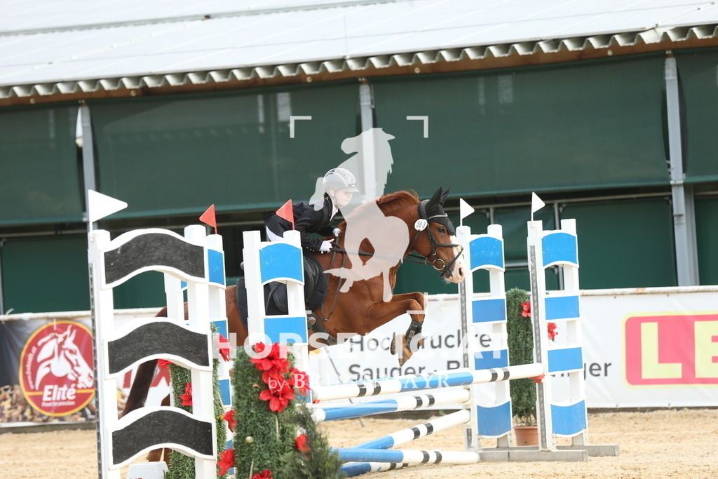 DL2Q4297 | Willkommen bei Brunnmayr - Design & Fotografie – Ihrem Spezialisten für Reitturniere und Pferdeveranstaltungen in Oberösterreich, Salzburg und Bayern! Seit über 17 Jahren sind wir leidenschaftlich dabei.