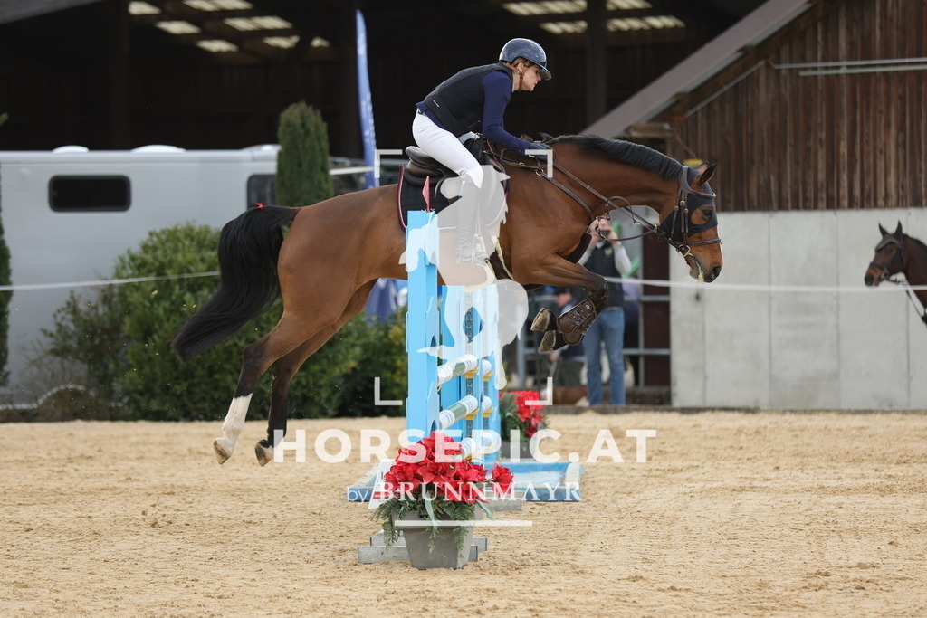0P6A8416 | Willkommen bei Brunnmayr - Design & Fotografie – Ihrem Spezialisten für Reitturniere und Pferdeveranstaltungen in Oberösterreich, Salzburg und Bayern! Seit über 17 Jahren sind wir leidenschaftlich dabei.