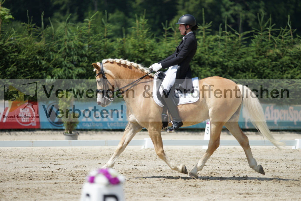 DSC05265 | equestrian-live-com