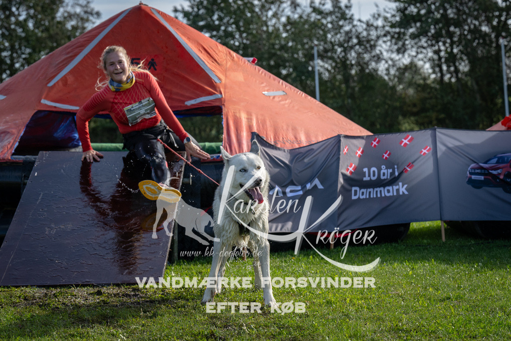 1155-92389 | kk-dogfotos