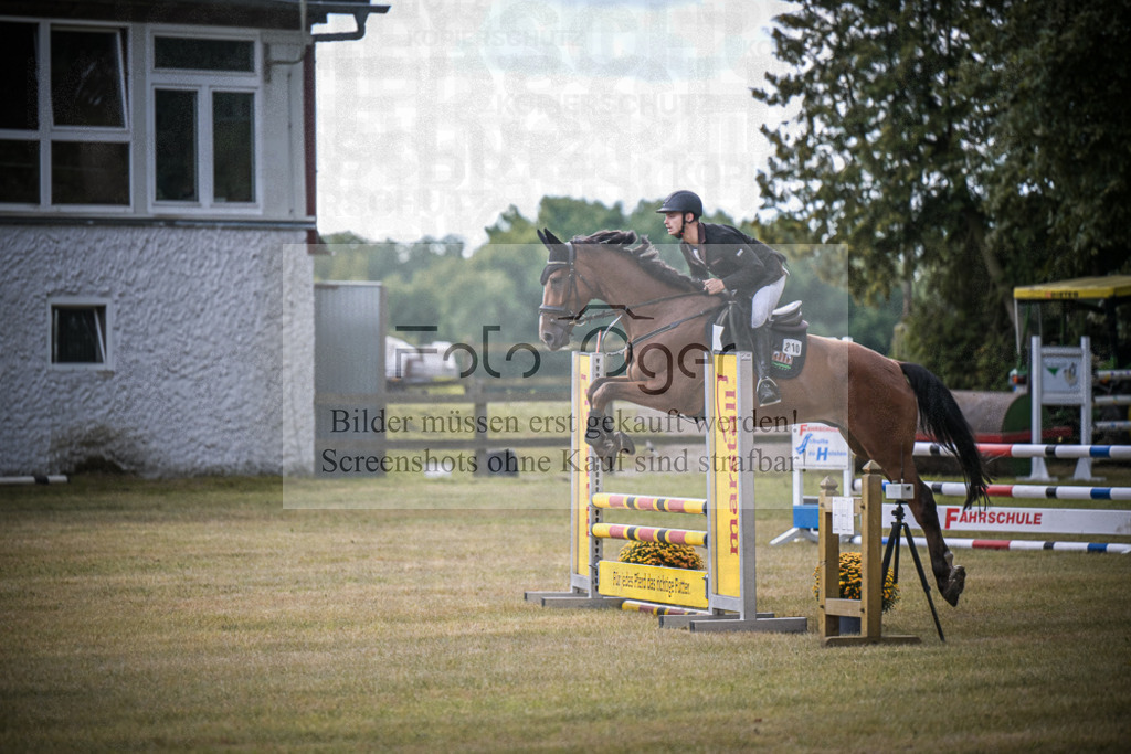 DOS_1083 | Entdecke hochwertige Reitturnierfotos von Foto Oger. Professionell, emotional und authentisch – jetzt Lieblingsmomente im Shop bestellen.Deutschlandweite Turnierfotografie. - Realisiert mit Pictrs.com