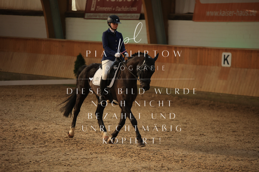 IMGT2186 | pl-fotografie