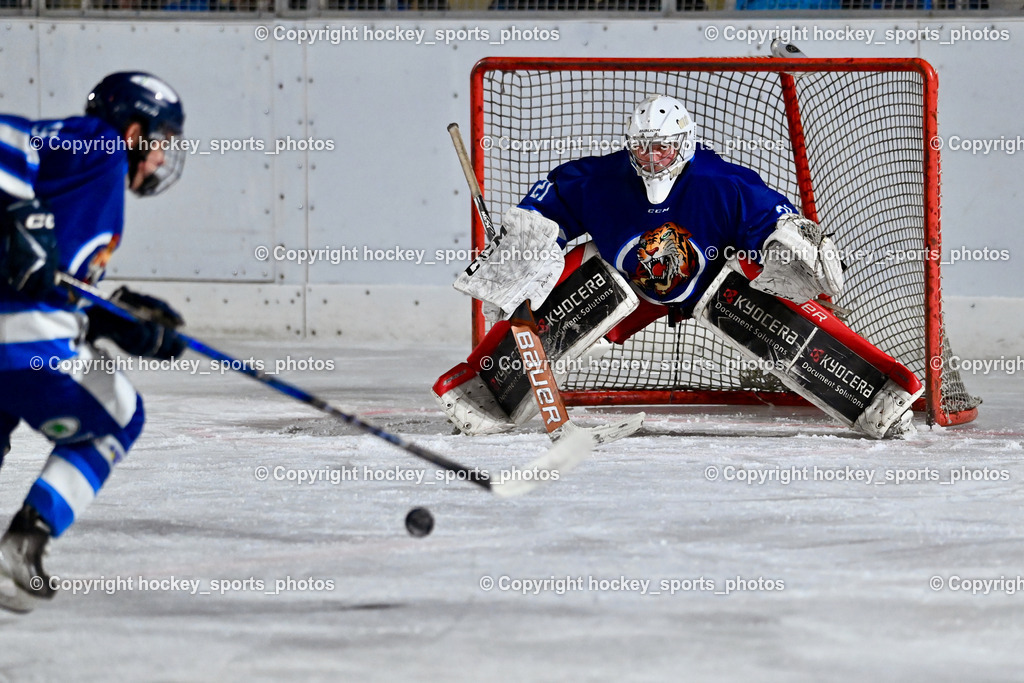 EC Tigers Paternion vs. EC Feld am See Ledenitzen | #21 Lesacher Jürgen EC Tigers Paternion, EC Tigers Paternion vs. EC Feld am See Ledenitzen, EC Tigers Paternion vs. EC Feld am See Ledenitzen am 19.01.2025 in Villach (Eisplatz Paternion), Austria, (Photo by Bernd Stefan)