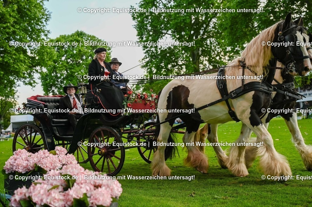 20250606_Lange-Pferdenacht_0138 | Foto: Thomas Hartig