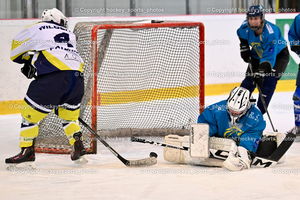 BST_6574 | hockey sports photos, Pressefotos, Sportfotos, hockey247, win 2day icehockeyleague, Handball Austria, Floorball Austria, ÖVV, Kärntner Eishockeyverband, KEHV, KFV, Kärntner Fussballverband, Österreichischer Volleyballverband, Alps Hockey League, ÖFB, 