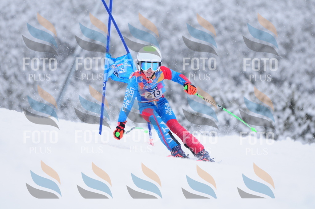 C2280 | holidayphoto