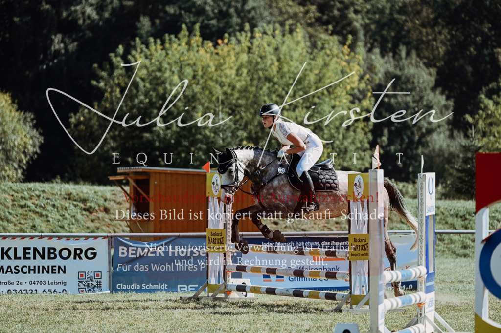 DSC_6791 | Pferde- und Turnierfotografie in Westsachsen. Pferdeportraits, Auftragszeichnungen und intuitive Kunst.