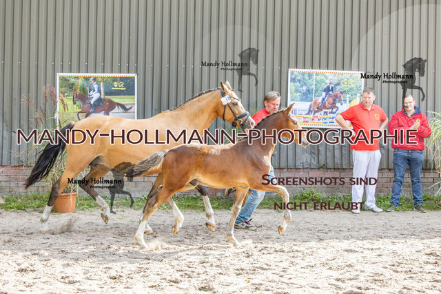 _MG_2233 | mandyhollmannphotographie