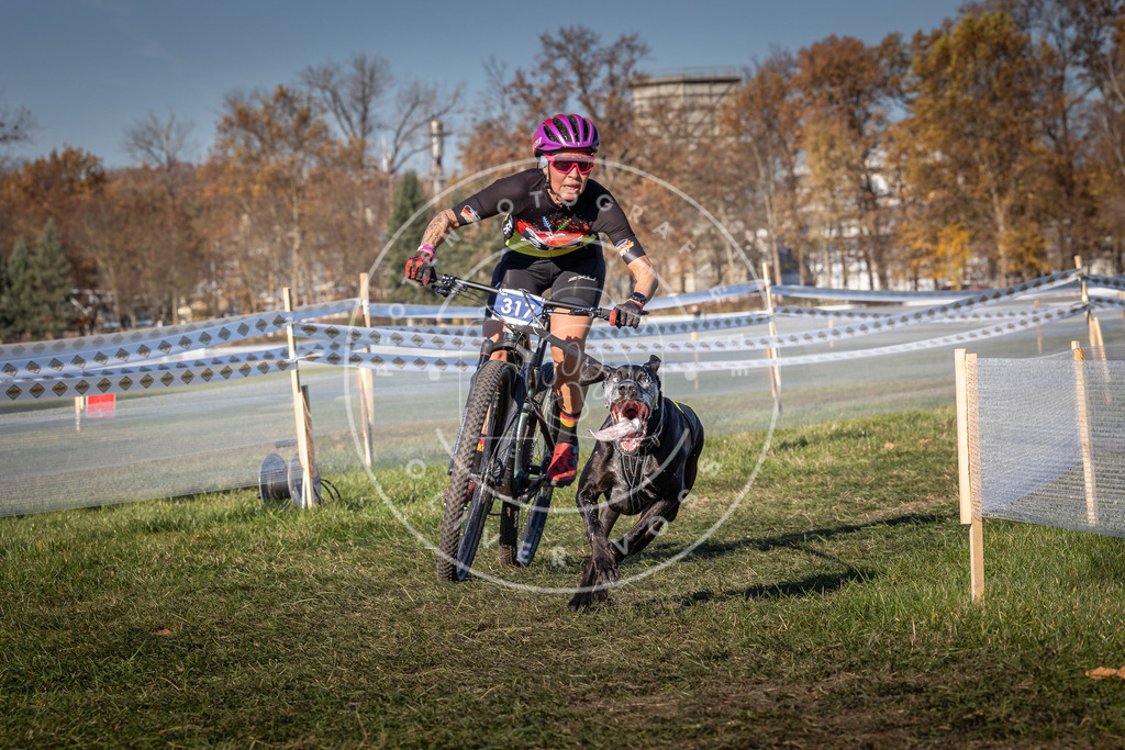 CaniXpix_0L8A5650 | Hundefotografie, Tierfotograf, Pfotenfotografie, Fotoshooting Hund, Hunde Portrait, Hundesport, Hundeportraits, Heideshooting, Hunde, Sportfotograf, Hundefotograf, Turnierhundsport, THS,  - Realisiert mit Pictrs.com