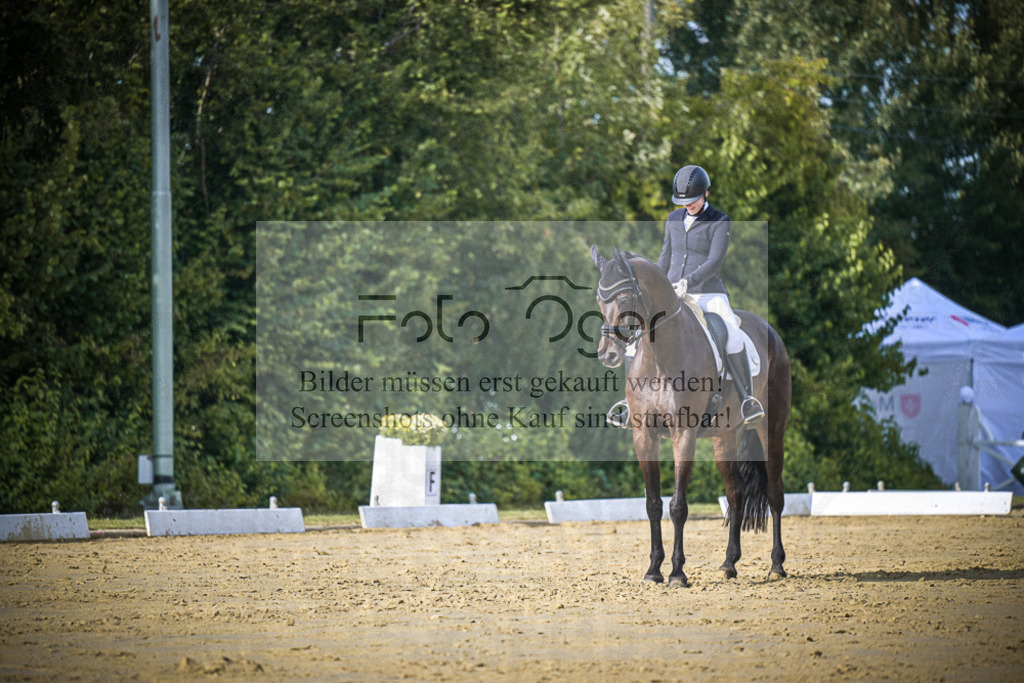 DOS_8428 | Entdecke hochwertige Reitturnierfotos von Foto Oger. Professionell, emotional und authentisch – jetzt Lieblingsmomente im Shop bestellen.Deutschlandweite Turnierfotografie. - Realisiert mit Pictrs.com