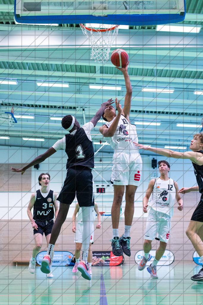 JBBL 24/25 | 12.01.2025 | Charisma Young Bulls vs. Northwestern Basketball Academy | JBBL 24/25 | 12.01.2025 | Charisma Young Bulls vs. Northwestern Basketball Academy - - - - - CREDIT, www.bullenfotos.de, Martin König, Hörner Weg 40, D-49078 Osnabrück, +4917663732967, Nutzung und Weitergabe nur zu den vereinbarten Zwecken. Presseanfragen an Urheber. Alle Rechte beim Urheber. - - - - - - Realisiert mit Pictrs.com