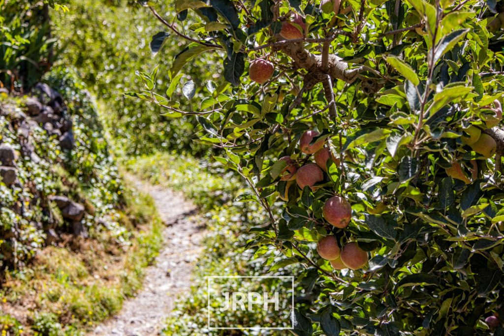 IMG_8877 | jrph - Realisiert mit Pictrs.com