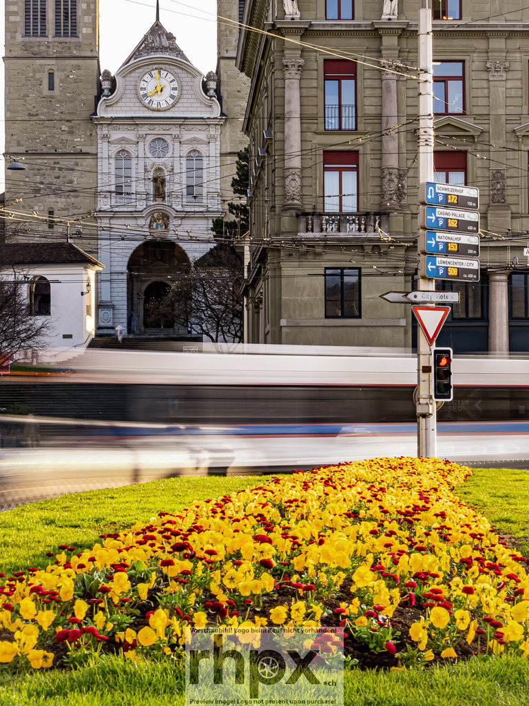 Erste Fruehlingsboten in Luzern 2026 | Stimmungsvolle Fotokunst aus Luzern. Erlebe den Pilatus, den See und die Stadt Luzern in exklusiven Aufnahmen in der Fotogalerie & Shop. - Realisiert mit Pictrs.com