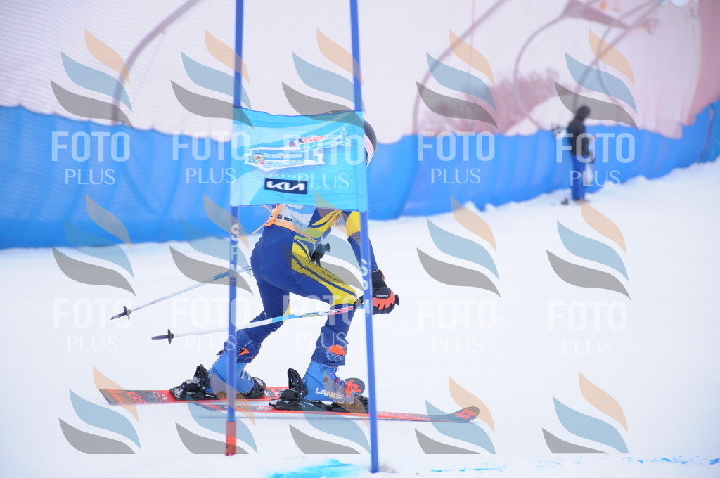 DSC_7877 | holidayphoto