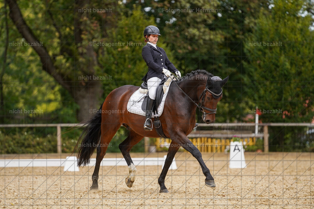 20231007-SN_00433 | Diessen am Ammersee, 2023, Dressur- und Springturnier, Reitsport, Turnierfotografie, Pferdebilder, Reitbilder, Turnierfotografen Bayern, Fotoagentur Herrmann