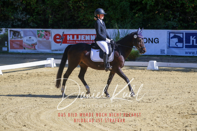 DKP41779 | Turniersportfotografie; Pferdefotografie; Dressurfotografie