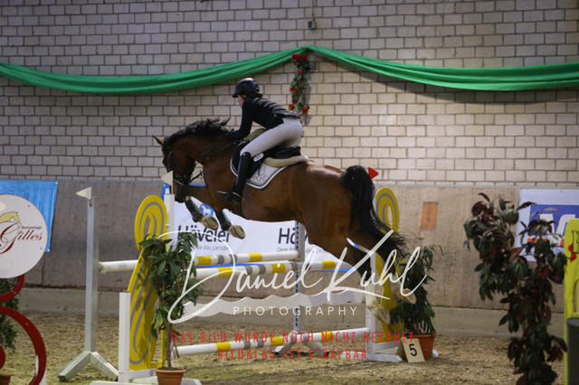IMG_0793 | Deine Turnierfotos vom Reitturnier online kaufen: Dressur, Springen & Siegerehrung. Professionelle Pferdefotografie aus dem Rheinland – als Download & Print.Alternative: Turnierfotograf für den Pferdesport: Finde deine Fotos von Dressur- und Springturnier