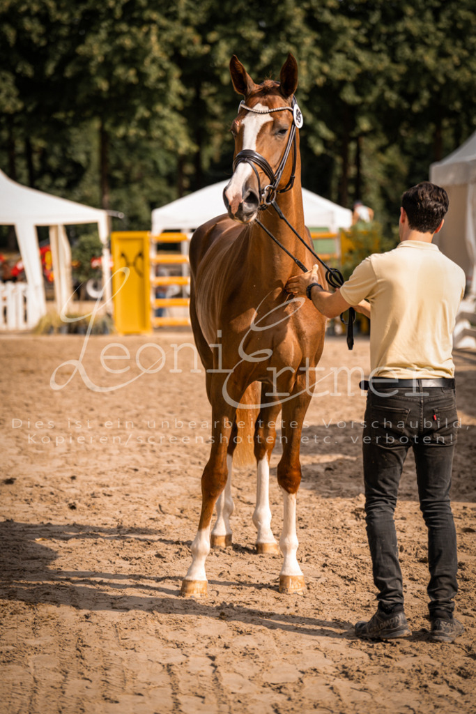 FrER00117 | Leoni Ertmer Photography - Realisiert mit Pictrs.com