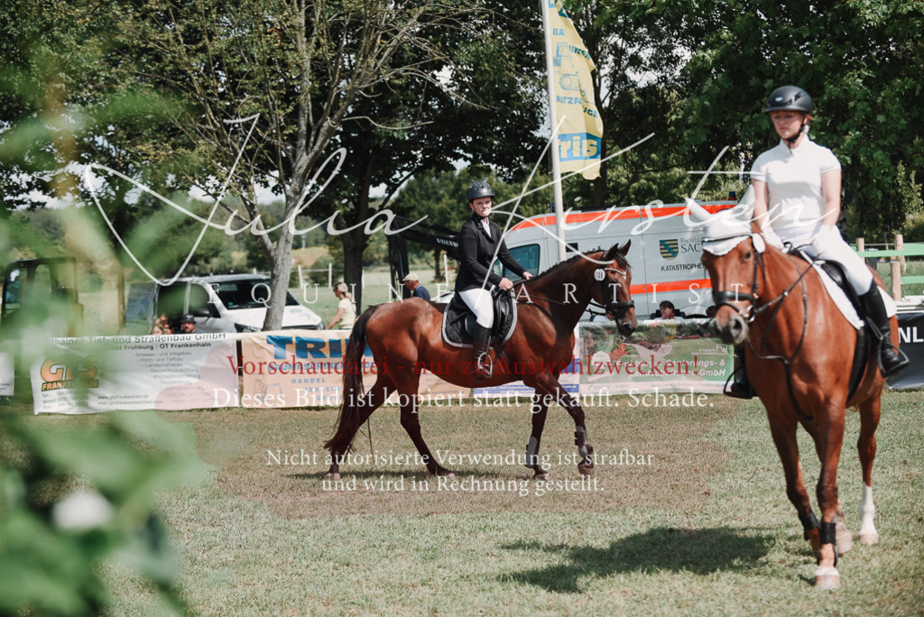 DSC_5738 | Pferde- und Turnierfotografie in Westsachsen. Pferdeportraits, Auftragszeichnungen und intuitive Kunst.