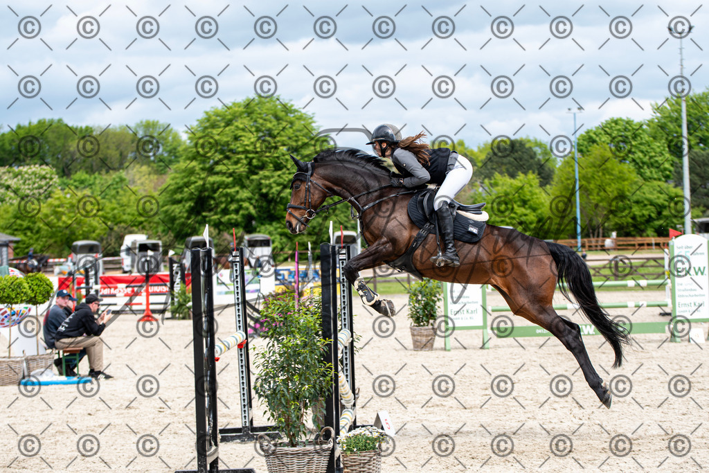 KPT_5491 | andre_photographic