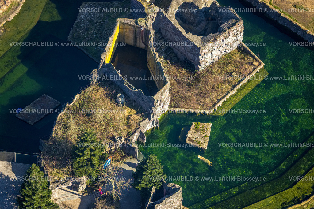 Gelsenkirchen240300522 | Luftbild, ZOOM Erlebniswelt, Zoo und Tierpark, Eisbärin Lara schwimmt in der 2005 erbauten Anlage der Erlebniswelt Alaska, Bismarck, Gelsenkirchen, Ruhrgebiet, Nordrhein-Westfalen, Deutschland