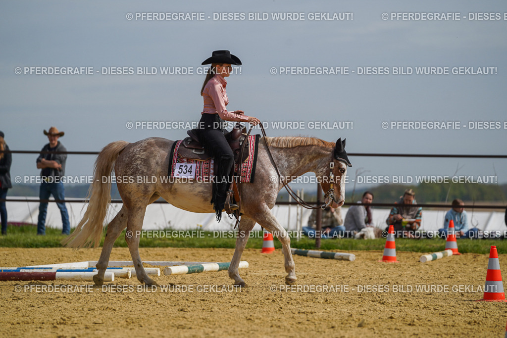 DSC04159 | Pferdegrafie