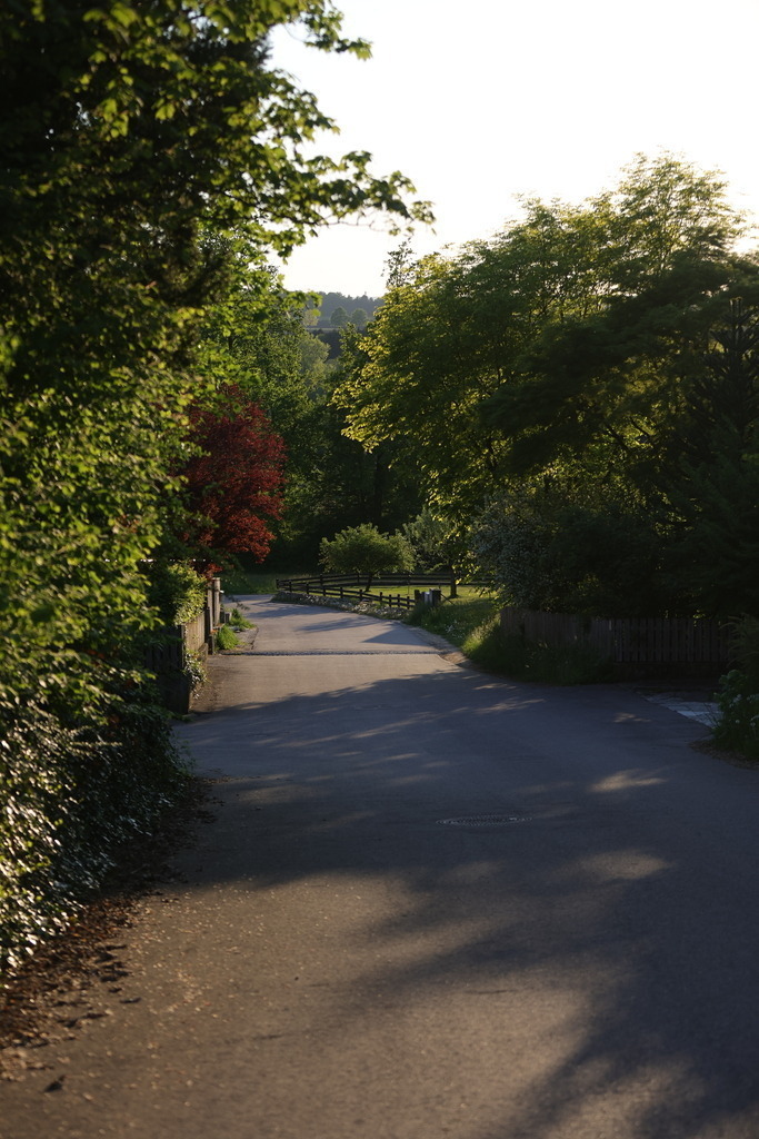 0P6A7615 | Willkommen bei Brunnmayr - Design & Fotografie – Ihrem Spezialisten für Reitturniere und Pferdeveranstaltungen in Oberösterreich, Salzburg und Bayern! Seit über 17 Jahren sind wir leidenschaftlich dabei.