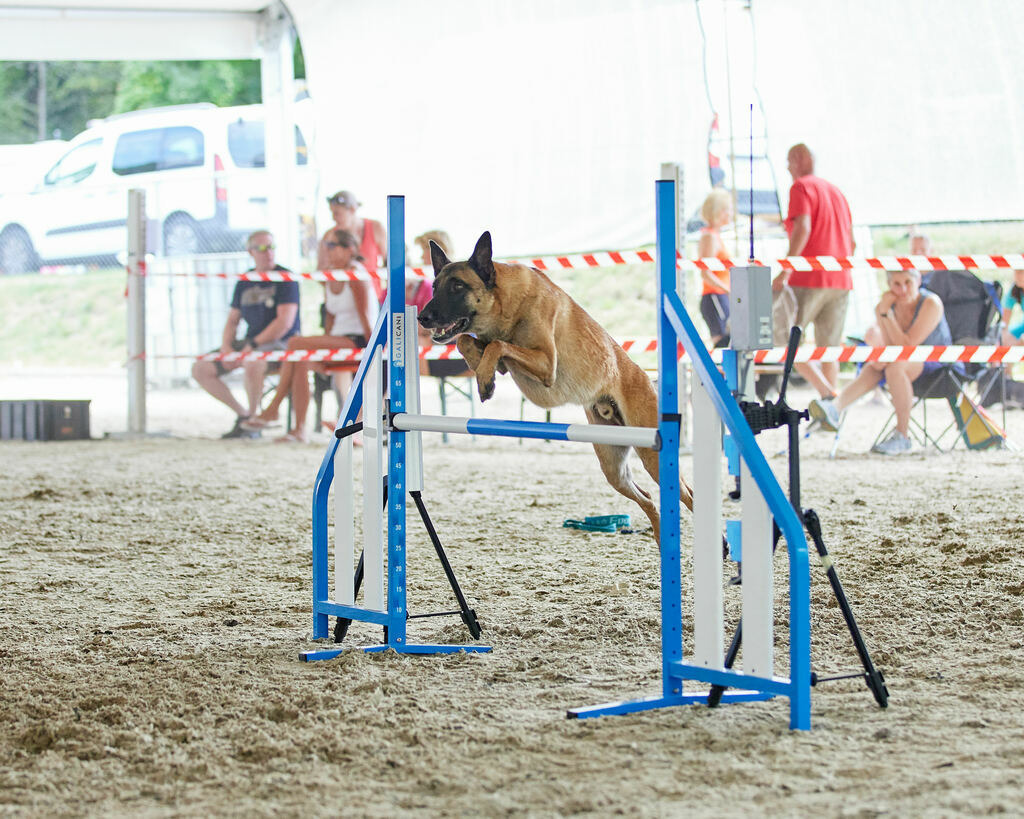 580A0123 | Peter Fridle Fotografie - Realisiert mit Pictrs.com