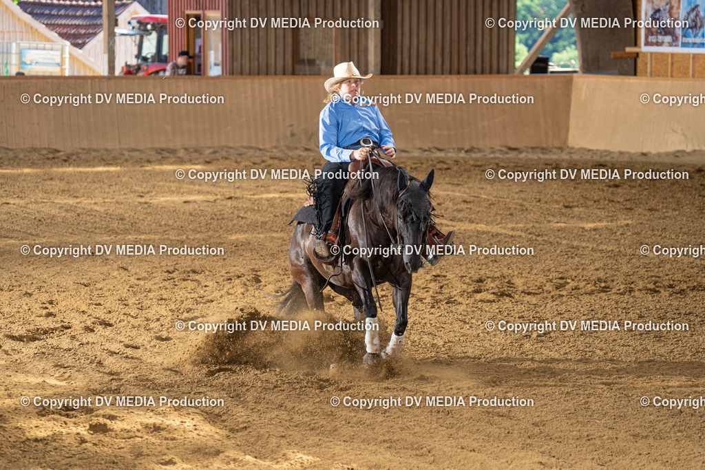 DSC00062 | dv-media-shop - Realisiert mit Pictrs.com