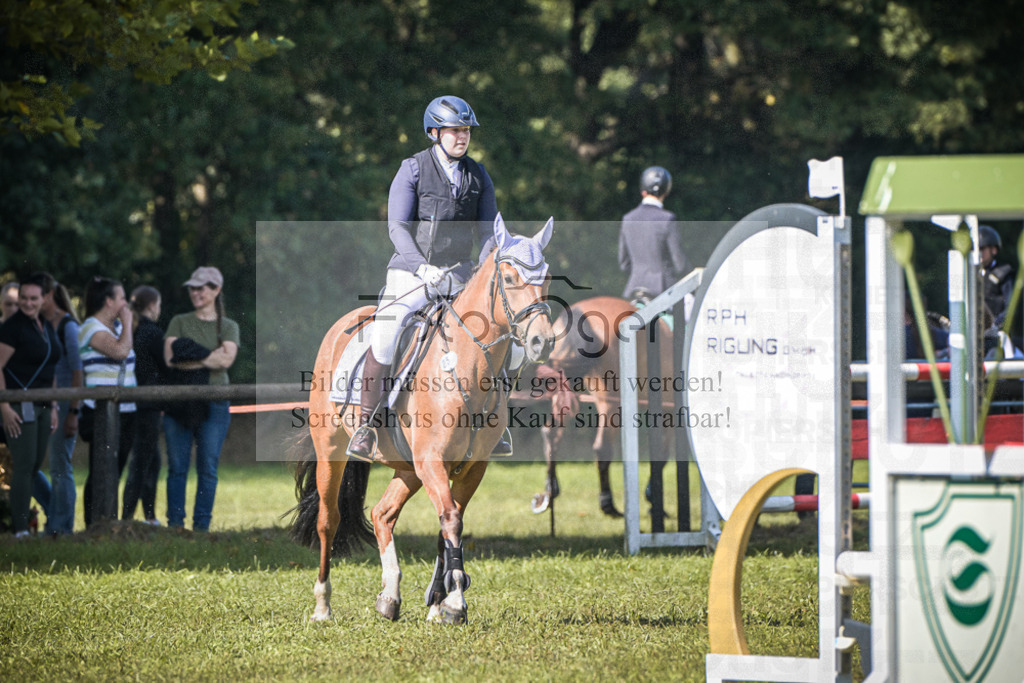DOS_0126 | Entdecke hochwertige Reitturnierfotos von Foto Oger. Professionell, emotional und authentisch – jetzt Lieblingsmomente im Shop bestellen.Deutschlandweite Turnierfotografie. - Realisiert mit Pictrs.com