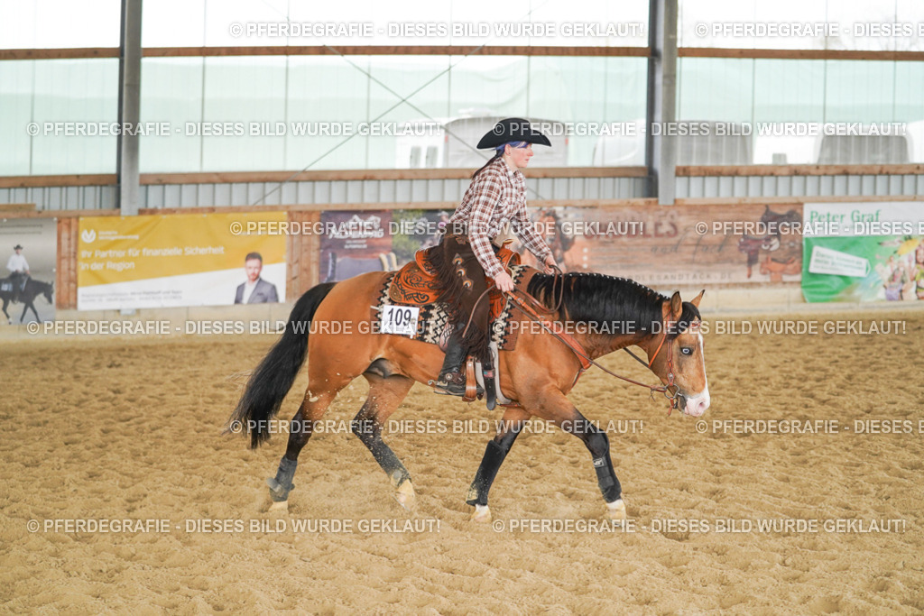 DSC05610 | Pferdegrafie