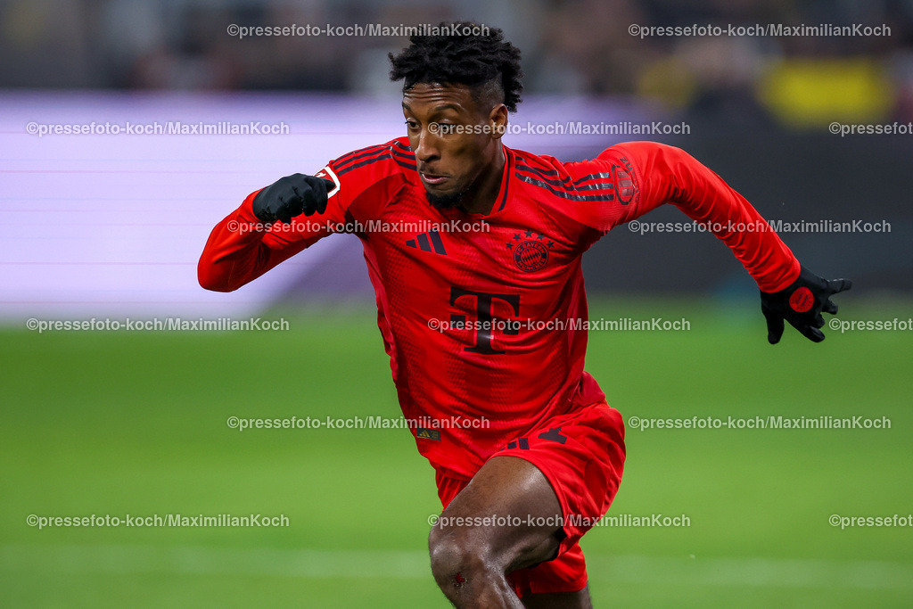 BVB30112402131 | 30.11.2024, Borussia Dortmund - FC Bayern München, 1. Fußball Bundesliga, 12. Spieltag, Signal Iduna Park, Saison 2024 2025: Kingsley Coman (Bayern #11)DFB regulations prohibit any use of photographs as image sequences and or quasi-video.